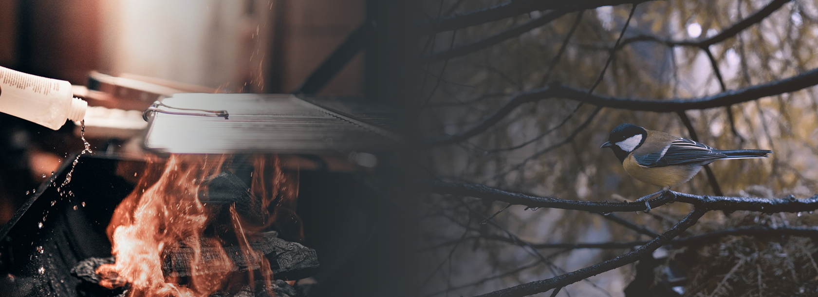 concept-banner